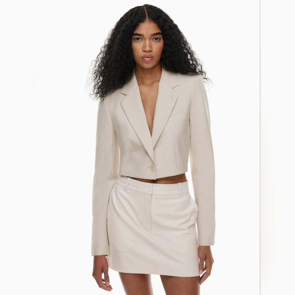 ARITZIA Babaton Arbus Blazer